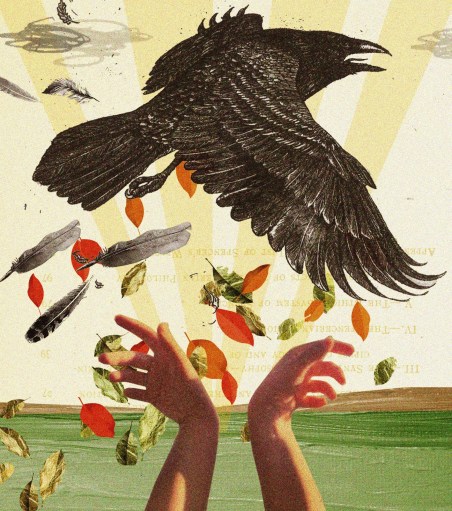 MiaimageforPhoebepoem